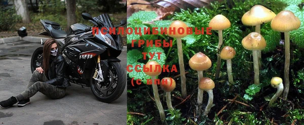 альфа пвп VHQ Бежецк