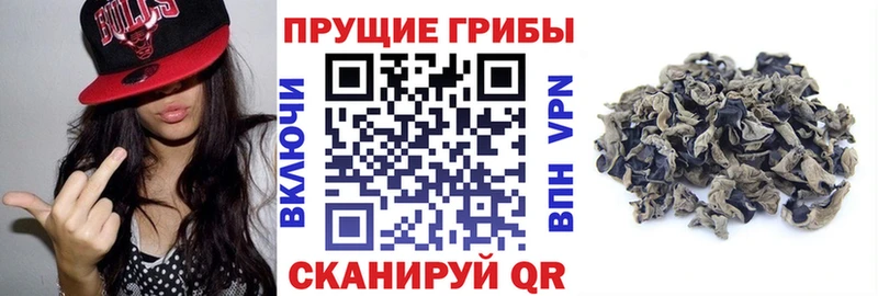 Галлюциногенные грибы мицелий  купить наркотик  Новая Ляля 